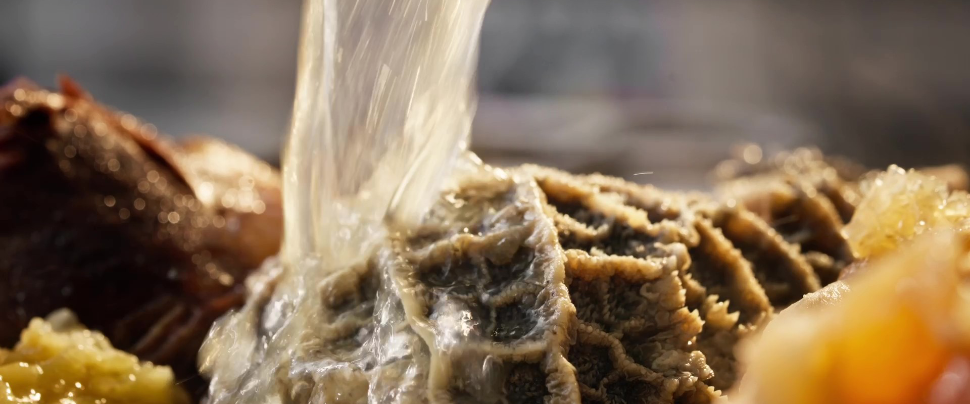 老广的味道 第11季