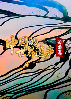 中国的世界遗产·云南篇封面图