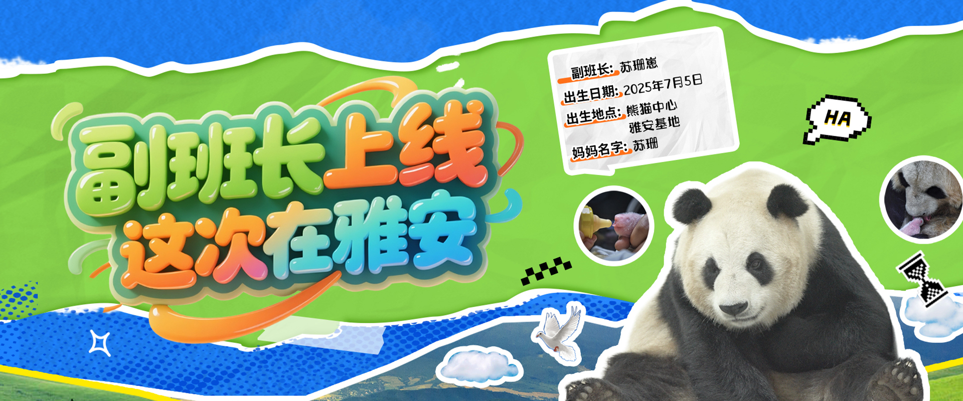 成长吧！大熊猫2025